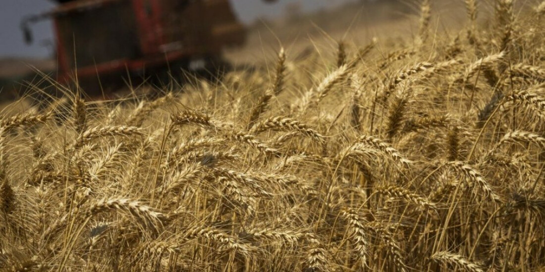 Safra de grãos 2022/23 é estimada em 312,2 milhões de toneladas