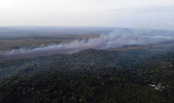 Calendário define áreas em emergência ambiental por incêndio florestal