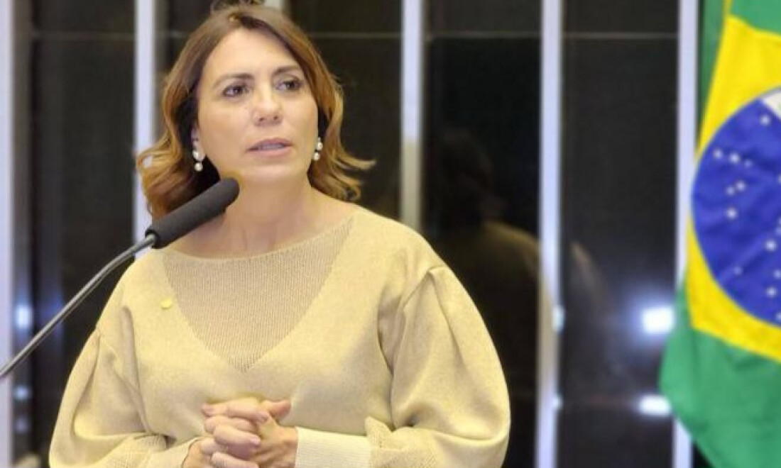 Projeto que protege pets em voo está parado no Congresso Nacional desde 2022