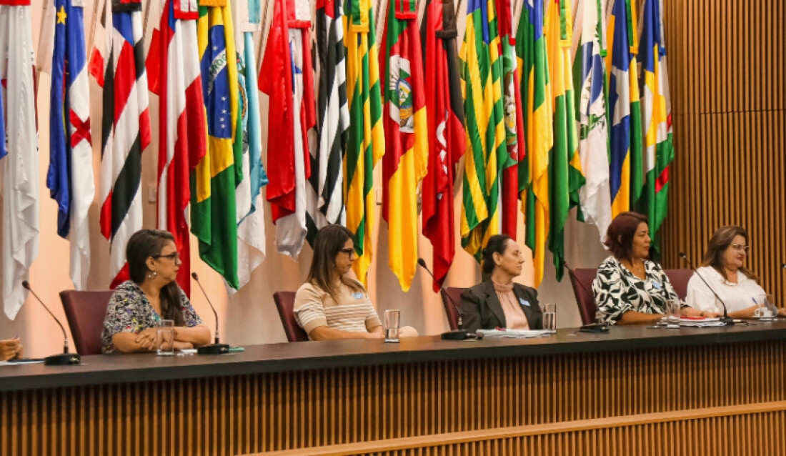 Mogi representa São Paulo em oficina nacional do Programa Criança Feliz  