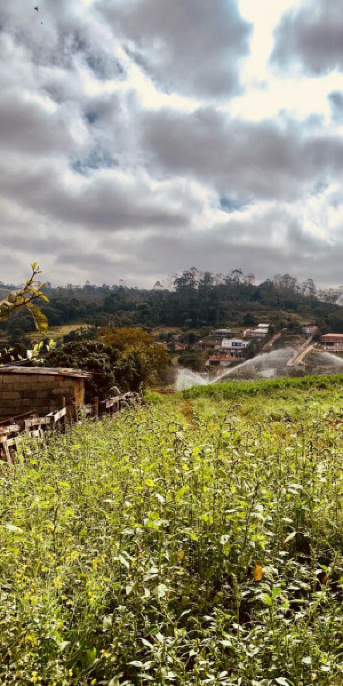 Ferraz de Vasconcelos abre o Cadastro Ambiental Rural