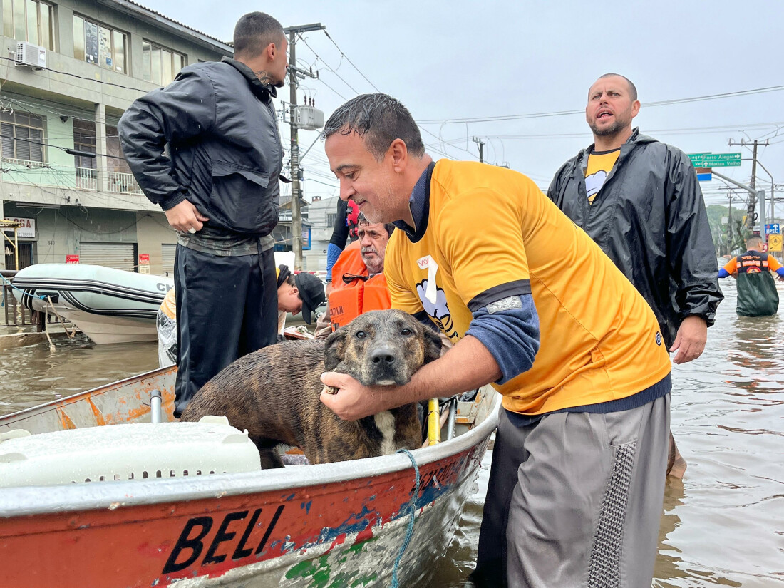 Defesa Civil de Itaquá salva 70 animais e resgata 30 pessoas no Sul