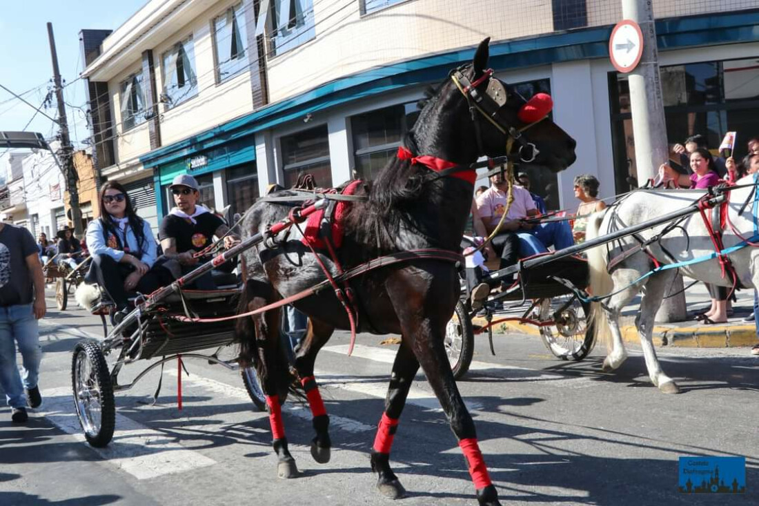 Entrada dos Palmitos recebe inscrições para cavaleiros até sexta (17)