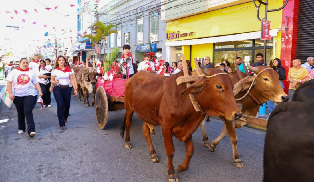 Região central de Mogi terá alteração no trânsito para a Entrada dos Palmitos 
