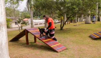 Prefeitura inaugura 2º Play Pet de Mogi e entrega melhorias no Nubea/Gatil