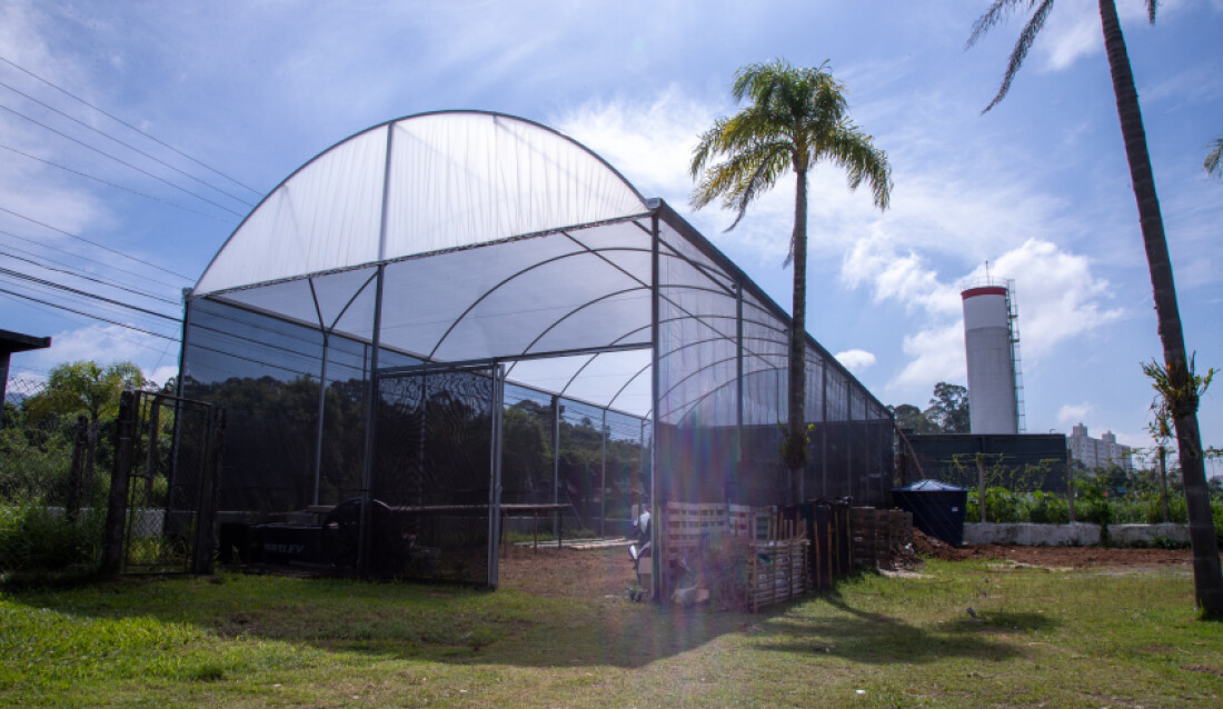 Prefeitura de Mogi oferece minicurso gratuito de jardinagem neste sábado (25)