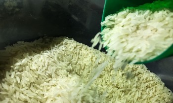 Conab suspende leilão para compra de 104 mil toneladas de arroz polido