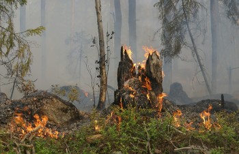 Prefeitura de Guararema reforça conscientização sobre crimes ambientais