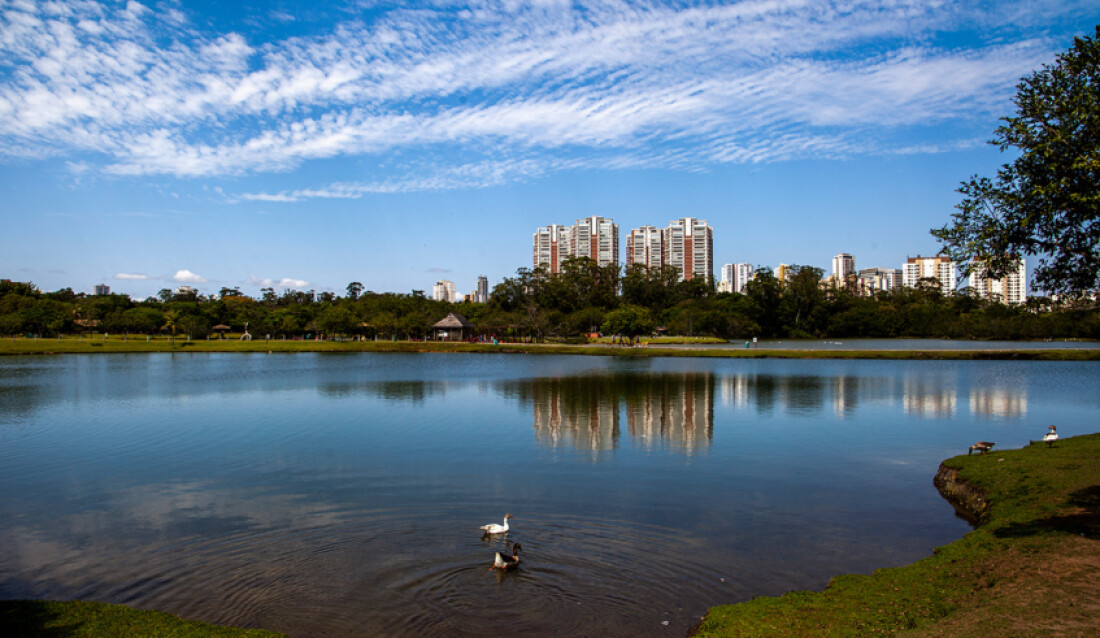 Prefeitura de Mogi divulga calendário do Junho Ambiental 2024