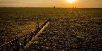 IBGE: 32% dos solos do país têm potencial natural para a agricultura