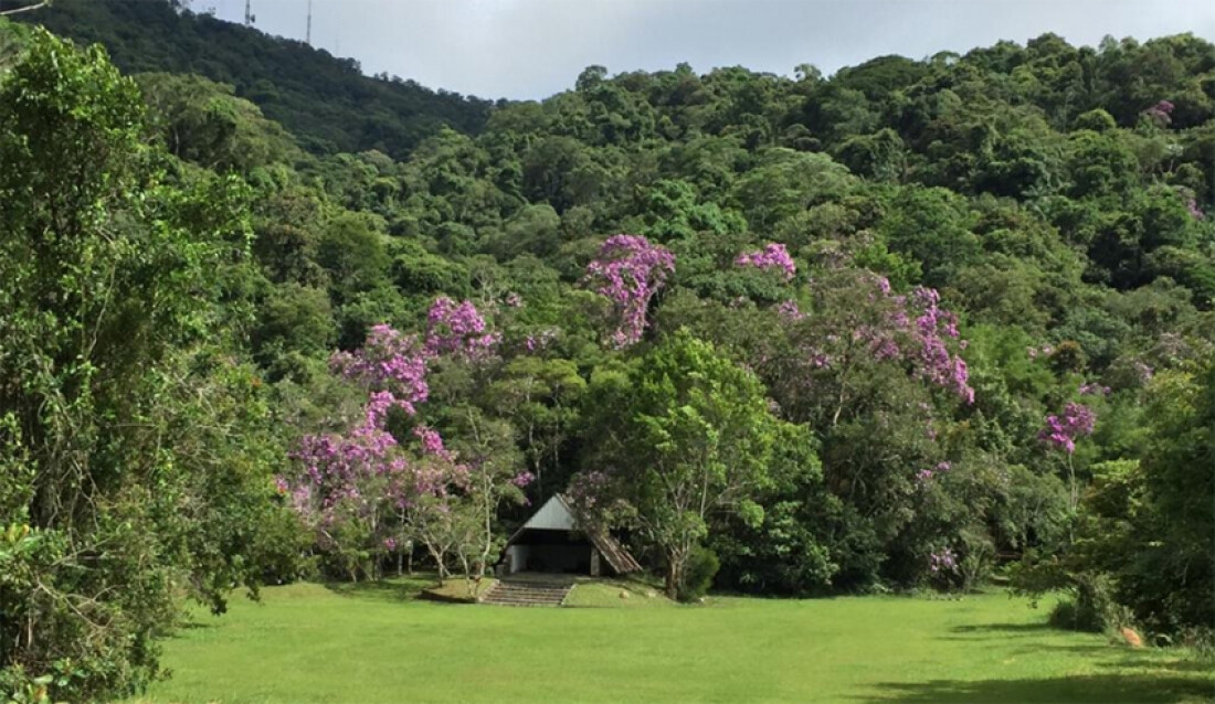 Dia Mundial do Meio Ambiente terá atividades no Parque Natural de Mogi