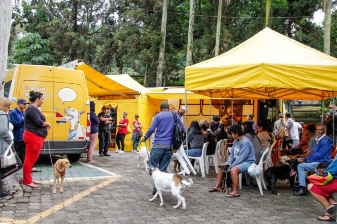 Ferraz recebe inscrições para 150 vagas para castração de animais nesta quinta-feira