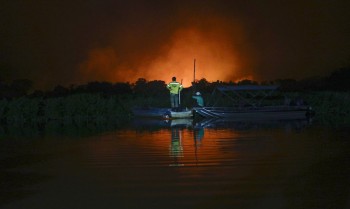 STF dá prazo para Congresso aprovar lei de proteção do Pantanal