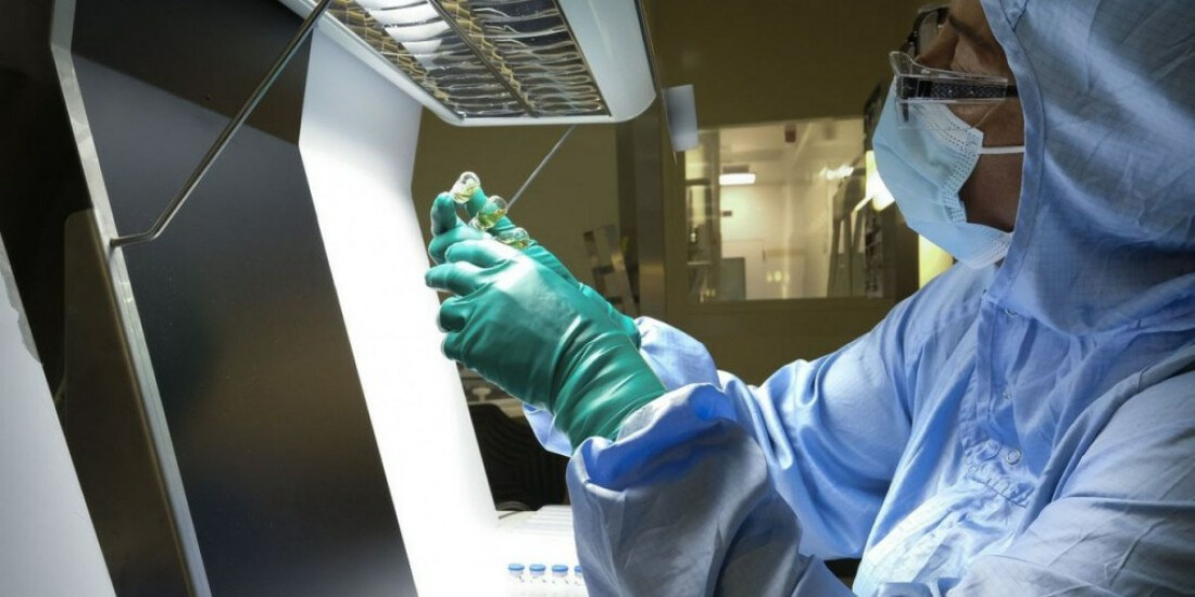 Controle de qualidade consome até 70% do tempo de fabricação de vacina