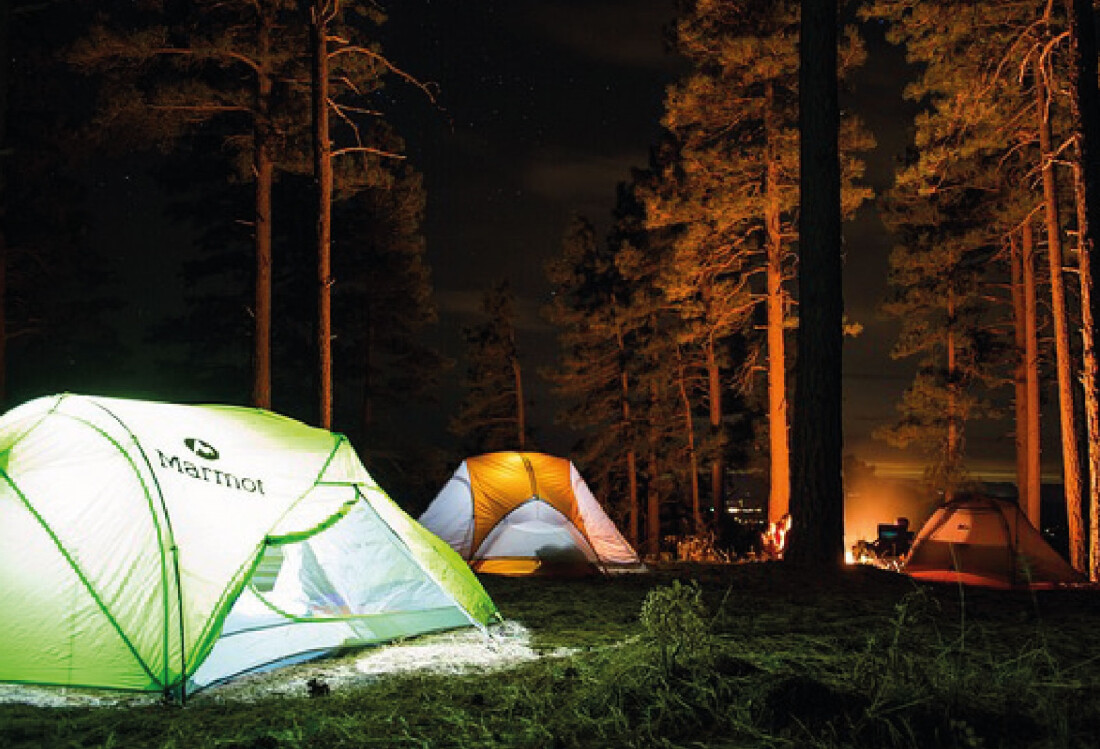 Museu da Energia de Salesópolis inaugura passeio ecológico noturno 