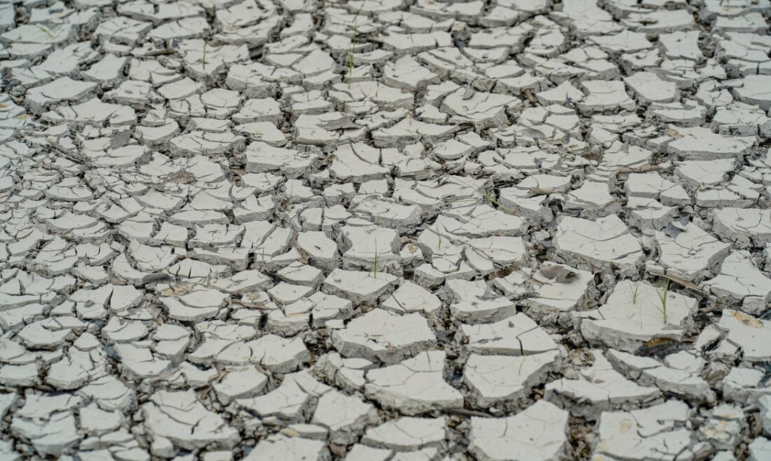 Hoje é Dia: imigração japonesa, seca e cinema brasileiro são destaques