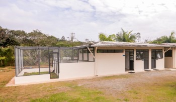 Prefeitura de Mogi inicia resgate de animais de médio e grande porte