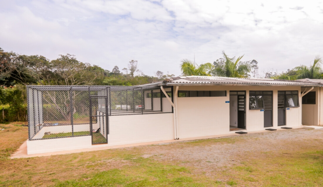 Prefeitura de Mogi inicia resgate de animais de médio e grande porte