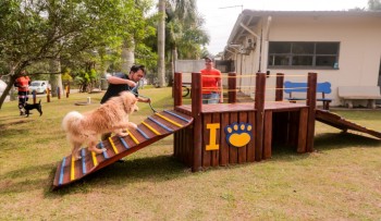 Junho Ambiental termina com a entrega de Play Pet, passeio e outras ações