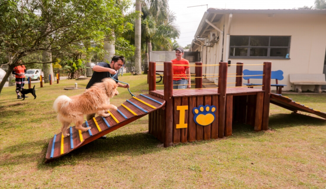 Junho Ambiental termina com a entrega de Play Pet, passeio e outras ações