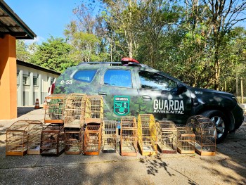 Guarda Ambiental de Itaquá resgata 23 pássaros silvestres em cativeiro