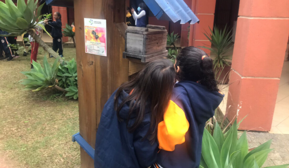 Alunos da Chácara Santo Ângelo participam do 3º Festival a Céu Aberto de Mogi