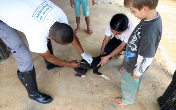 Vacinação contra a raiva para cães e gatos será disponibilizada no sábado