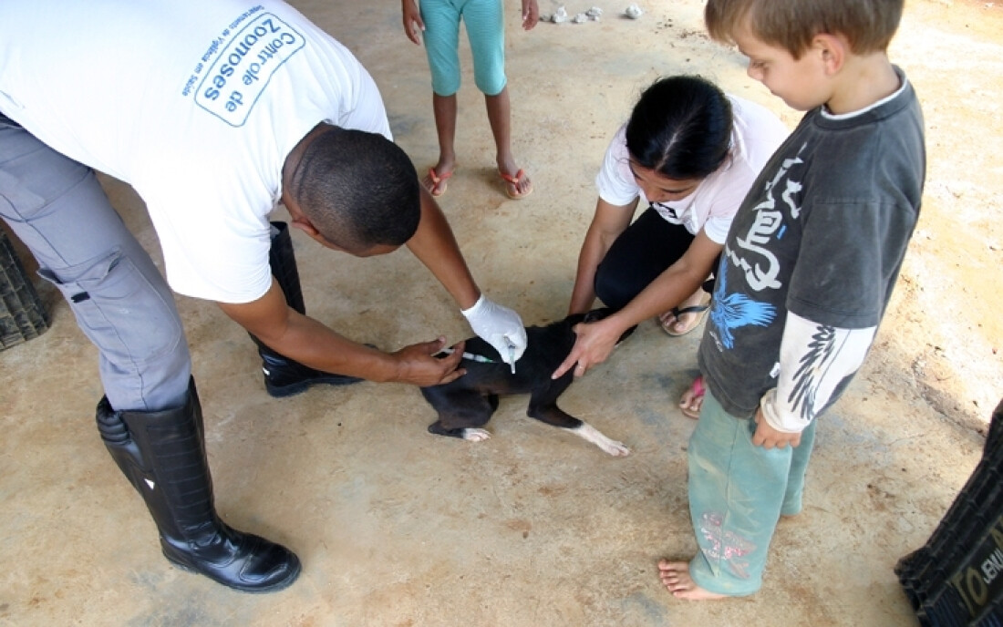 Vacinação contra a raiva para cães e gatos será disponibilizada no sábado