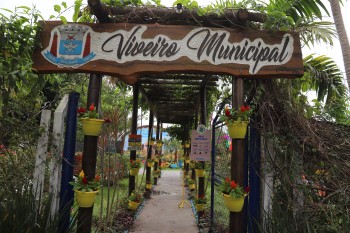 Viveiro Municipal de Suzano planta quase 10 mil mudas desde 2018 