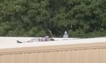 Saiba quem era Thomas Crooks, que atirou contra Trump em comício