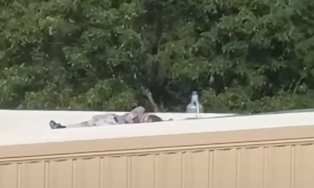 Saiba quem era Thomas Crooks, que atirou contra Trump em comício