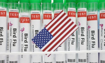 Com surto de gripe aviária, Colorado recebe apoio do governo dos EUA