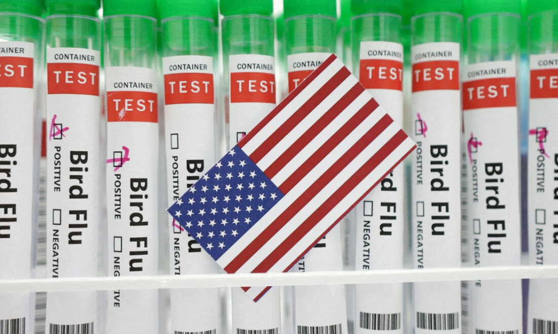 Com surto de gripe aviária, Colorado recebe apoio do governo dos EUA