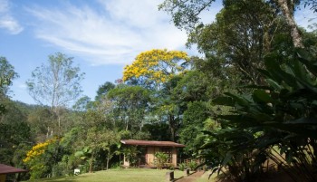 Um Dia no Parque é realizado no Parque das Neblinas pela terceira vez