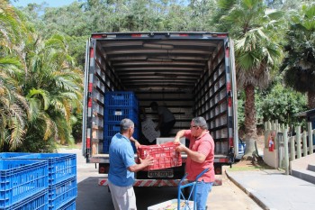 Magic City arrecada mais de 44 toneladas de alimentos no primeiro semestre