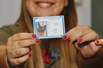 Registro Geral Animal alcança mais de mil solicitações em 9 meses