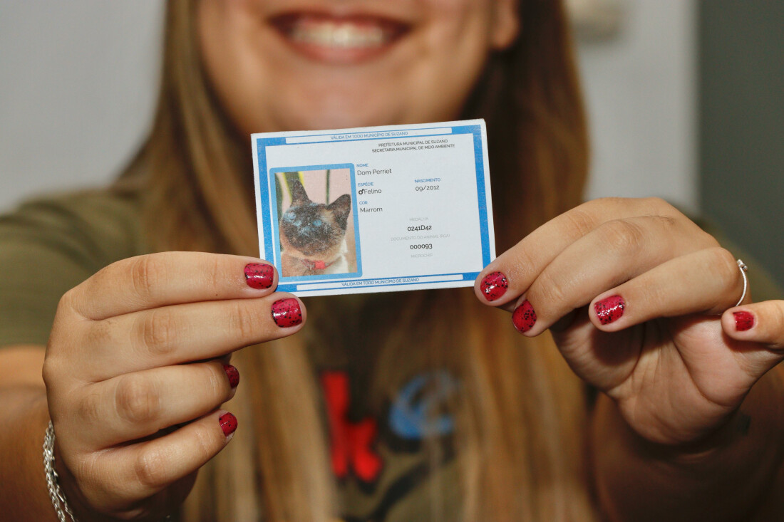 Registro Geral Animal alcança mais de mil solicitações em 9 meses