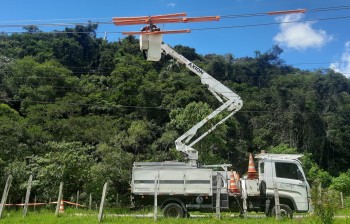 EDP reforça cuidados com a rede elétrica na área rural