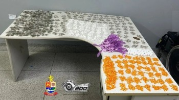 Polícia realiza apreensão de drogas no valor de R$ 20 mil em Itaquá