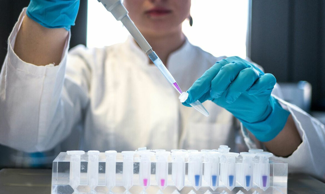 Campinas terá distrito para pesquisa e inovação tecnológica