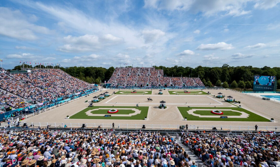 Paris: Federação detecta falta de oxigênio de cavalos no adestramento