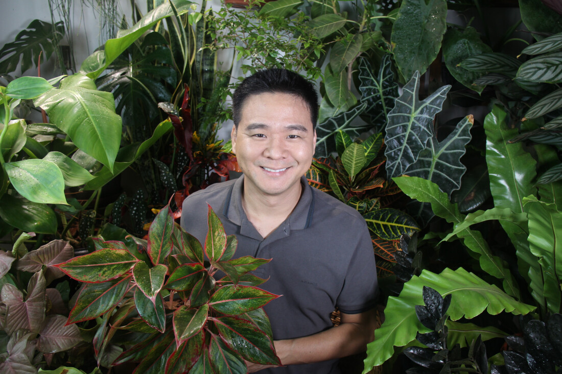 Expo Aflord de Arujá vai oferecer workshops gratuitos a partir da próxima semana