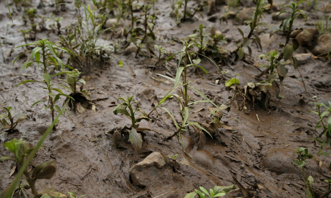 Mariana: vítimas pedem que governo rejeite acordo de mineradoras