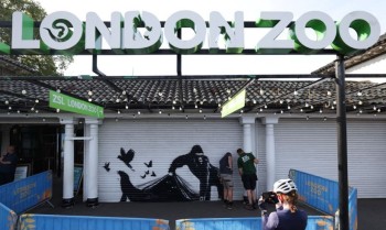 Mural de Banksy no zoológico de Londres retrata libertação de animais