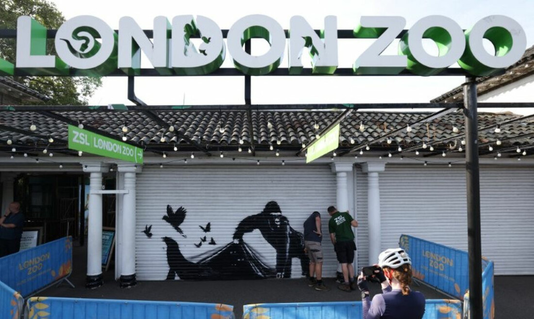 Mural de Banksy no zoológico de Londres retrata libertação de animais