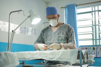 Suzano recebe 8° mutirão de castração neste sábado 