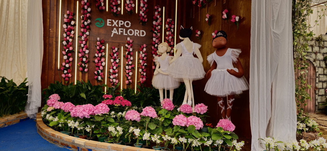 Expo Aflord de Arujá começa neste final de semana 