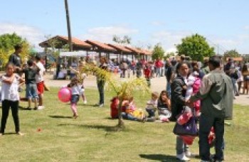 Leon Feffer recebe o projeto "Contos e Caraminholas"