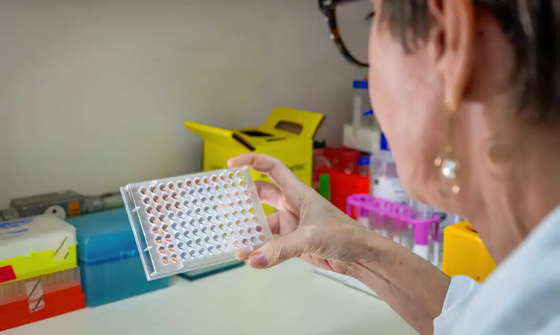 Brasil inaugura fábrica de medicamentos para diabetes e obesidade