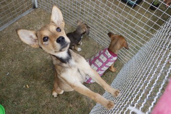 “Baby, me leva” tem mais uma edição neste domingo 